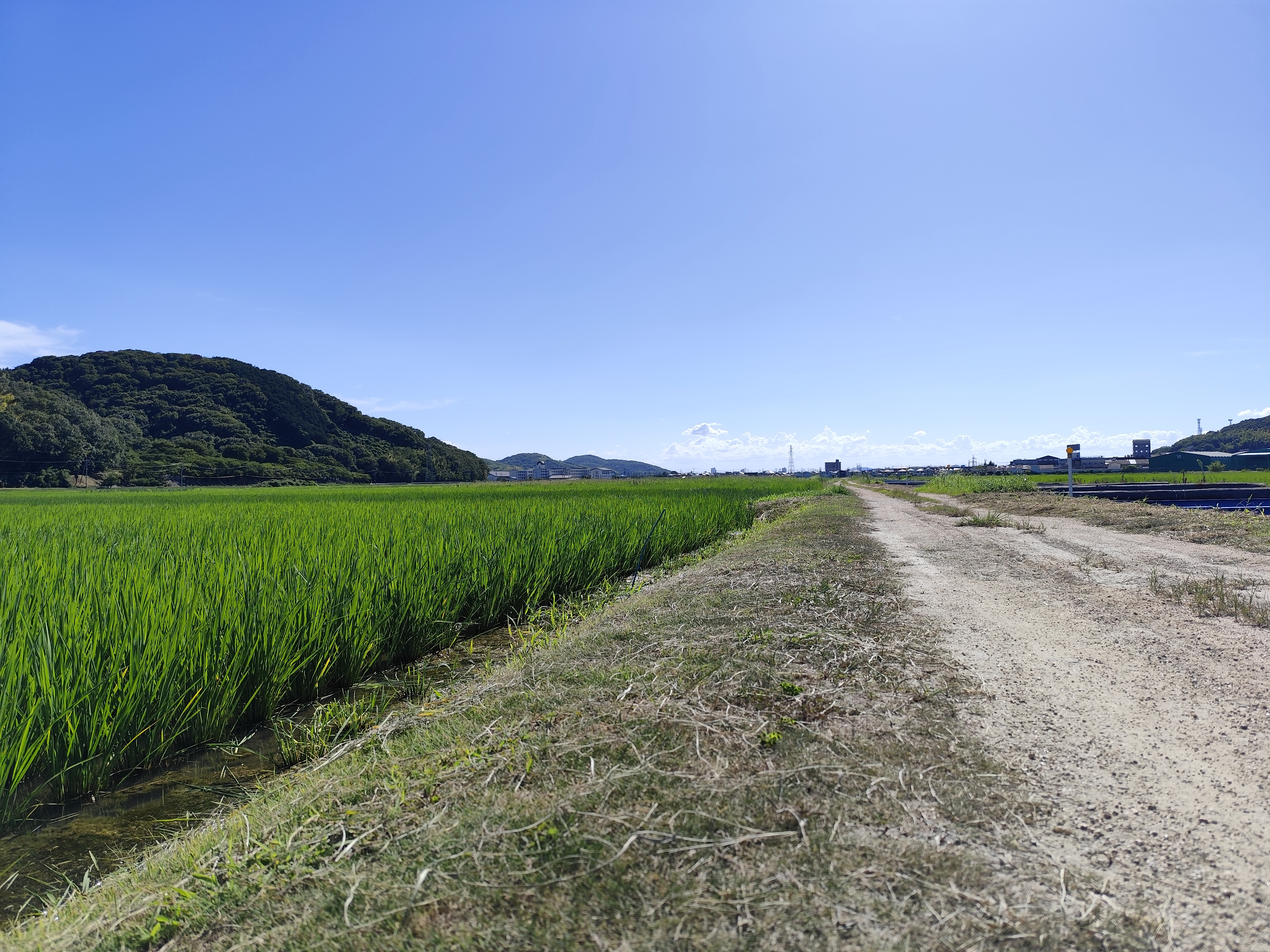 おすすめスポット2