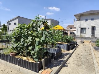 貸農園の畑の風景