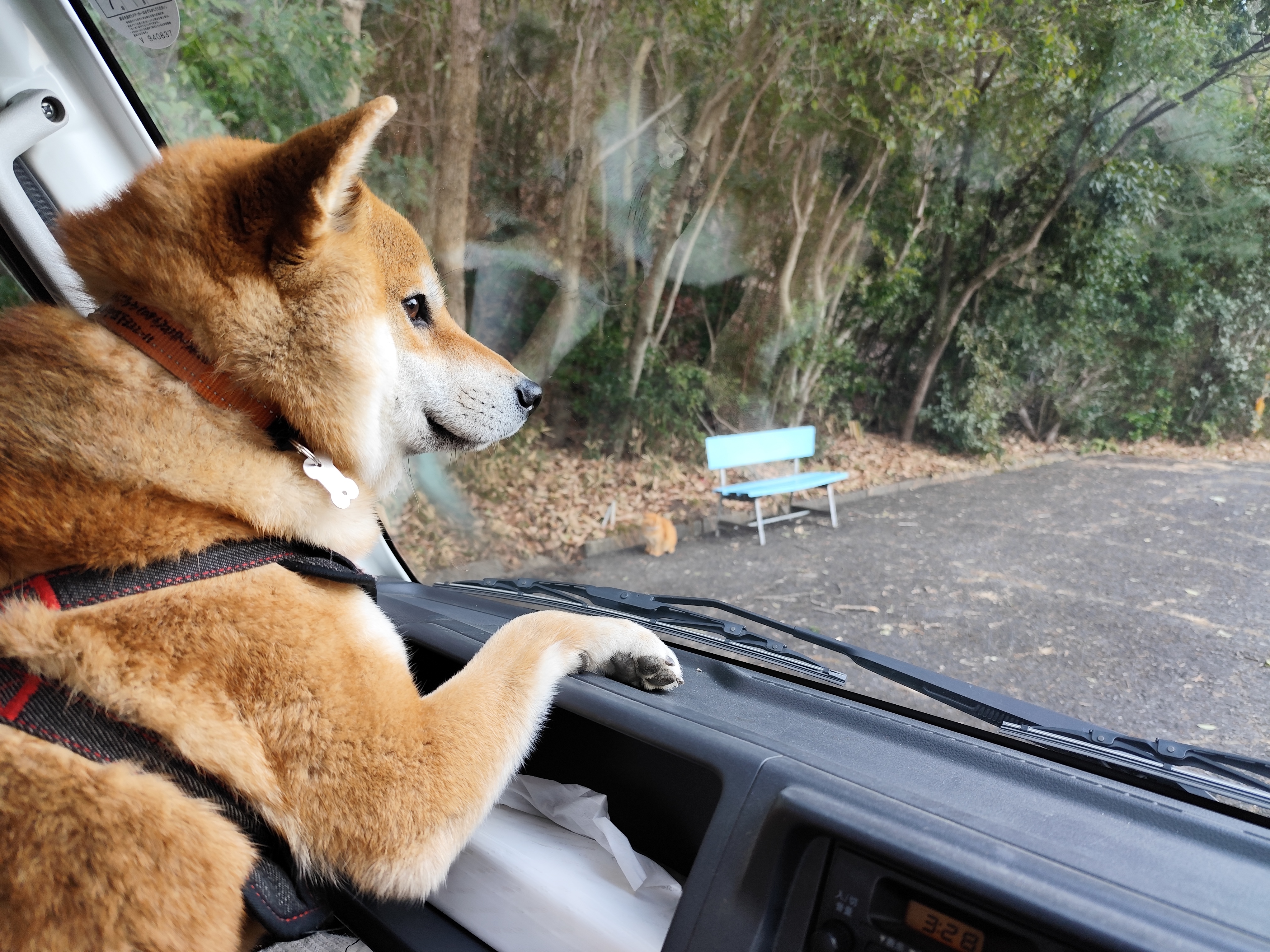 おすすめスポット1